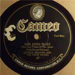 Lucille Hegamin And The Dixie Daisies - Sam Jones Blues / Saint Louis Gal album