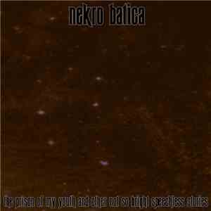 Nekro Batica - The Prison Of My Youth And Other Not So Bright Speechless Stories album