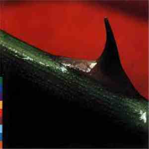 Nusrat Fateh Ali Khan & Michael Brook - Night Song album