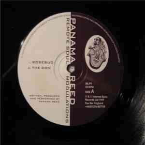Panama Reed - Remote Soul Modulations album