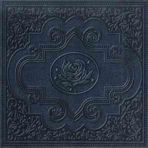 Ryan Adams & The Cardinals - Cold Roses album
