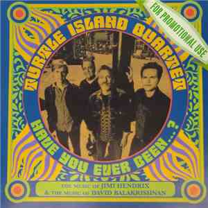 Turtle Island Quartet - Have You Ever Been ...? (The Music Of Jimi Hendrix & The Music Of David Balakrishnan) album