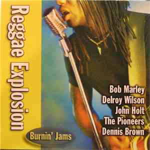 Various - Burnin' Jams - Reggae Explosion album