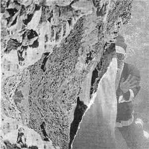 Various - Golden Children album