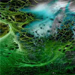X=18 - The Dissonance album