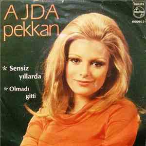 Ajda Pekkan - Sensiz Yıllarda / Olmadı Gitti album