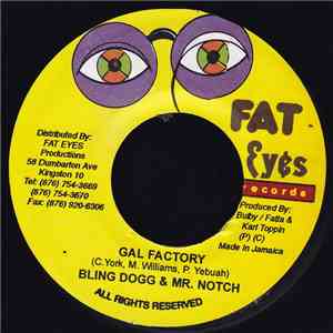 Bling Dogg & Mr. Notch / Robyn  & Lady Saw - Gal Factory / One Night Stand album