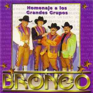 Bronco  - Homenaje A Los Grandes Grupos album