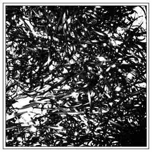 Clipping. - Midcity album