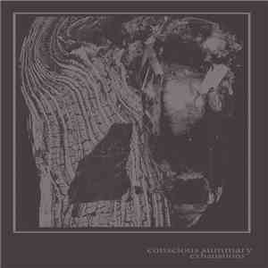 Conscious Summary - Exhaustions album