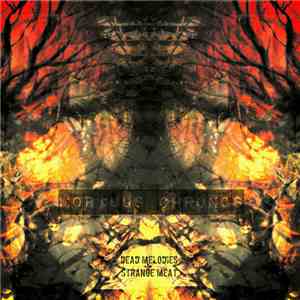 Dead Melodies & Strange Meat - Mortuus Chronos album