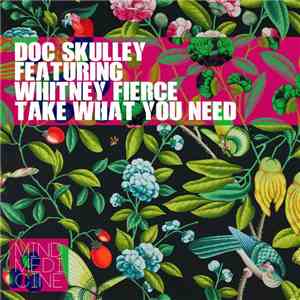 Doc Skulley Featuring Whitney Fierce - Take What You Need album