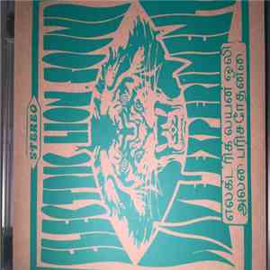 Electric Lion Sound Wave Experiment - Unknown album
