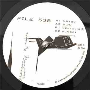 File 538 - File 001 album