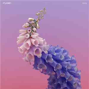 Flume - Skin album
