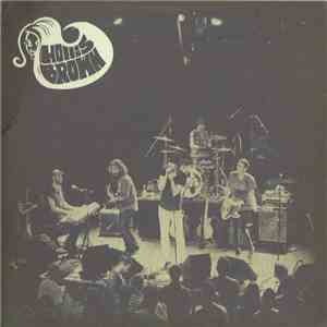 Hollis Brown  - Nothing & The Famous No One album