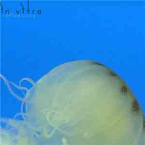 In Vitro  - Reflections album