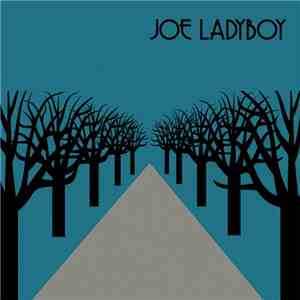 Joe Ladyboy - Excursions album