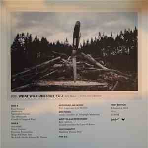 Kyle Morton - What Will Destroy You album