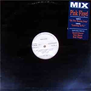 Pink Floyd - On The Turning Away / Learning To Fly album