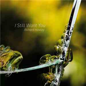 Richard Hawley - I Still Want You album