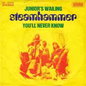 Steamhammer - Junior's Wailing / You'll Never Know album