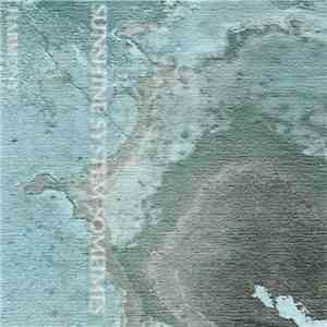 Sunshine System Sometimes - Harmony album