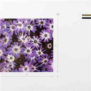 Telex - Haven't We Met Somewhere Before? album