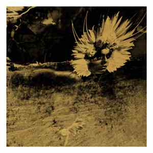 UNKLE And Warren Du Preez & Nick Thornton Jones - When The Night Falls (The Runaway) album