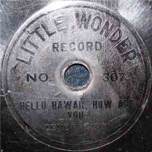 Unknown Artist - Hello Hawaii, How Are You? album