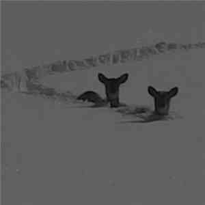 Ventre De Biche - St Raphaël album