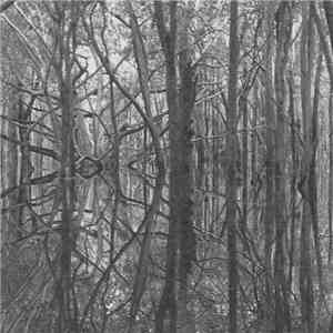 Artificial Memory Trace - Ama_Zone1: Black Waters album