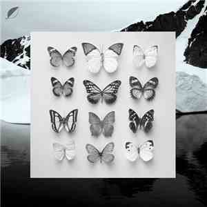 Christian Löffler - Young Alaska album