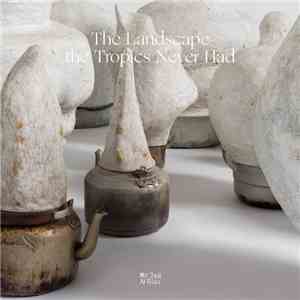 Chui Wan - The Landscape The Tropics Never Had album