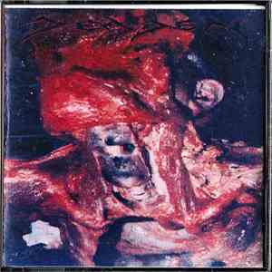 Deaden - Feast On The Flesh Of The Dead album
