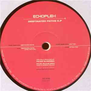 Echoplex - Destinated Paths E.P album