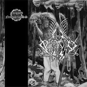Förgjord / Nekrokrist SS - Förgjord / Nekrokrist SS album