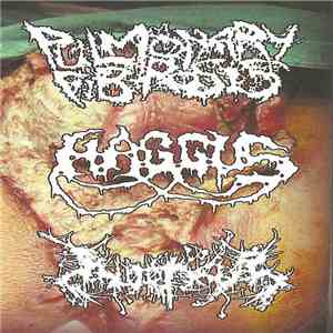 Haggus // Inopexia // Pulmonary Fibrosis - 3-Way Split album