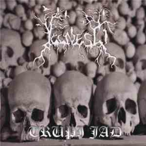Illness  - Trupi Jad album
