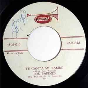 Los Papines - Te Canta A Mi Tambo / En Un Avion album
