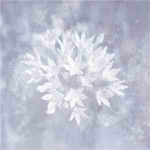 Poemme - Soft Ice album