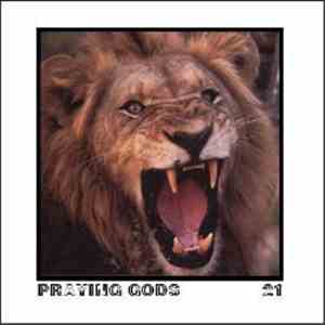 Praying Gods - The Failure Of Identity & Communication album