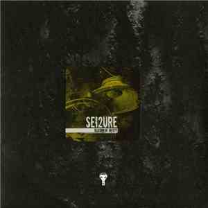 Sei2ure - Illusion Of Safety album