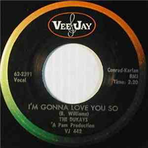 The Dukays - I'm Gonna Love You So / Please Help album