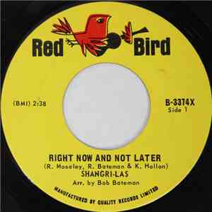 The Shangri-Las - Right Now And Not Later / The Train From Kansas City album