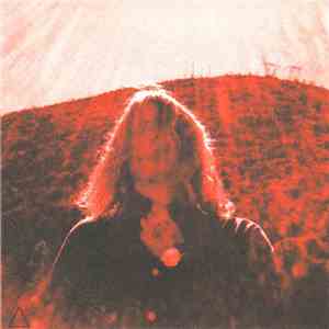 Ty Segall - Manipulator album