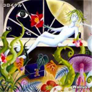 Walrus  - Colloidal album
