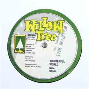 Willo Wilson - Wonderful World / Love Song album