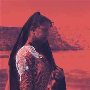 Forest Swords - Rattling Cage album