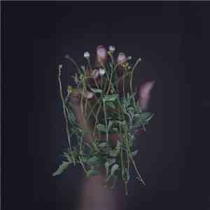 I Hate Sex, Algae Bloom , Black Knight Satellite - 3-way Split album